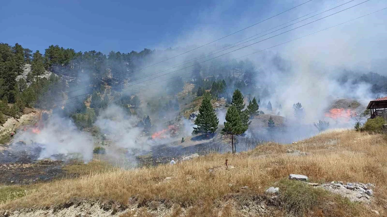 Antalyada orman yangını