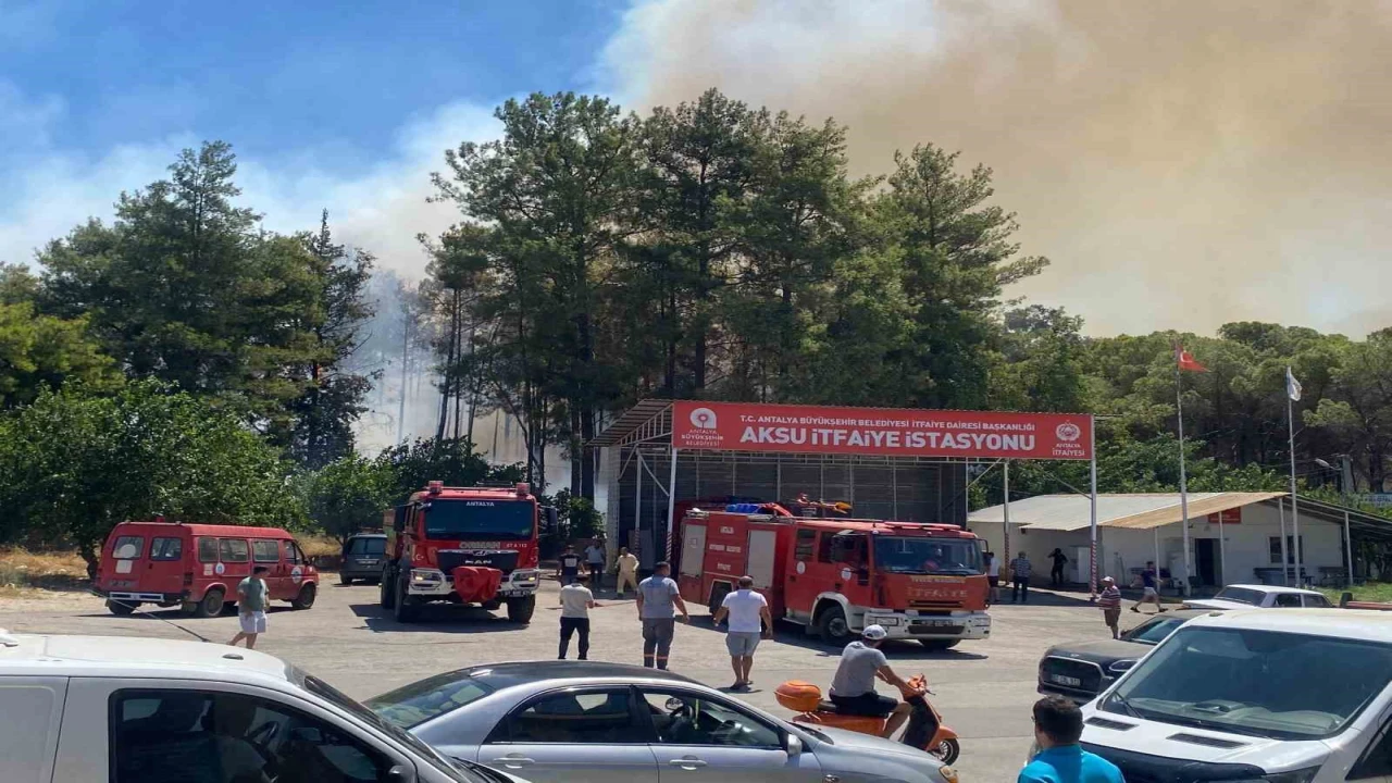 Antalyada ormanlık alanda yangın paniği