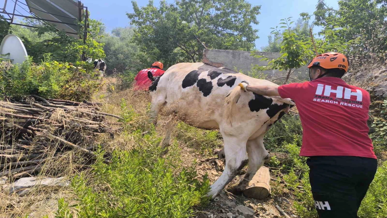 Antalyada yerleşim yerlerini tehdit eden orman yangınında bazı evler tahliye edildi