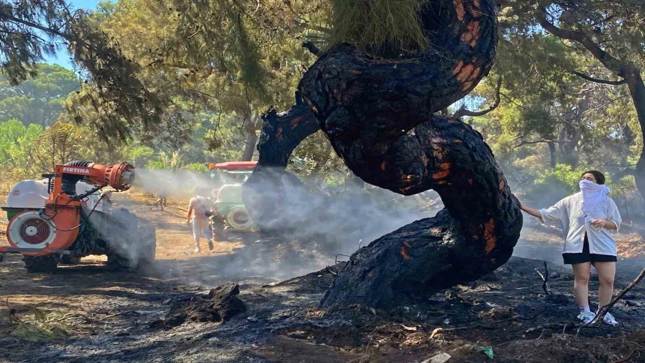 Antalyadaki orman yangınında duygulandıran anlar