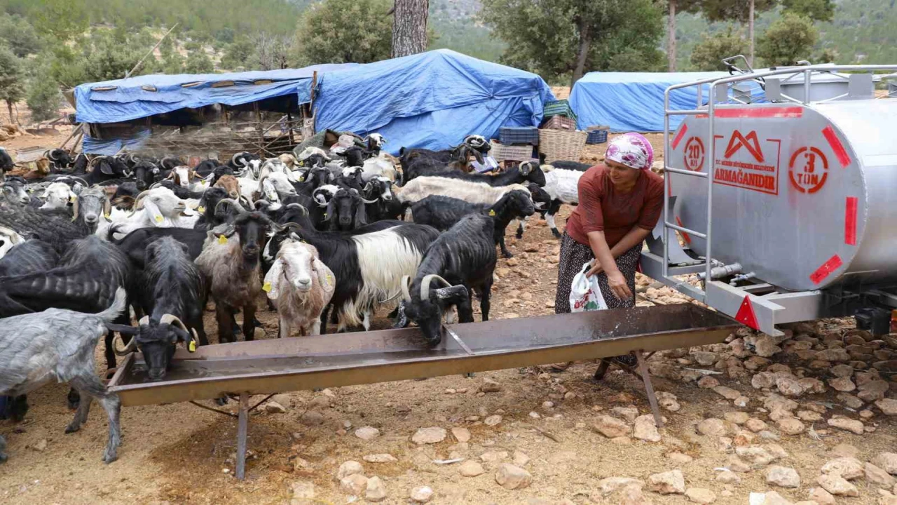 Belediyenin sulama tankeri desteği Mersindeki Yörüklerin yüzünü güldürdü