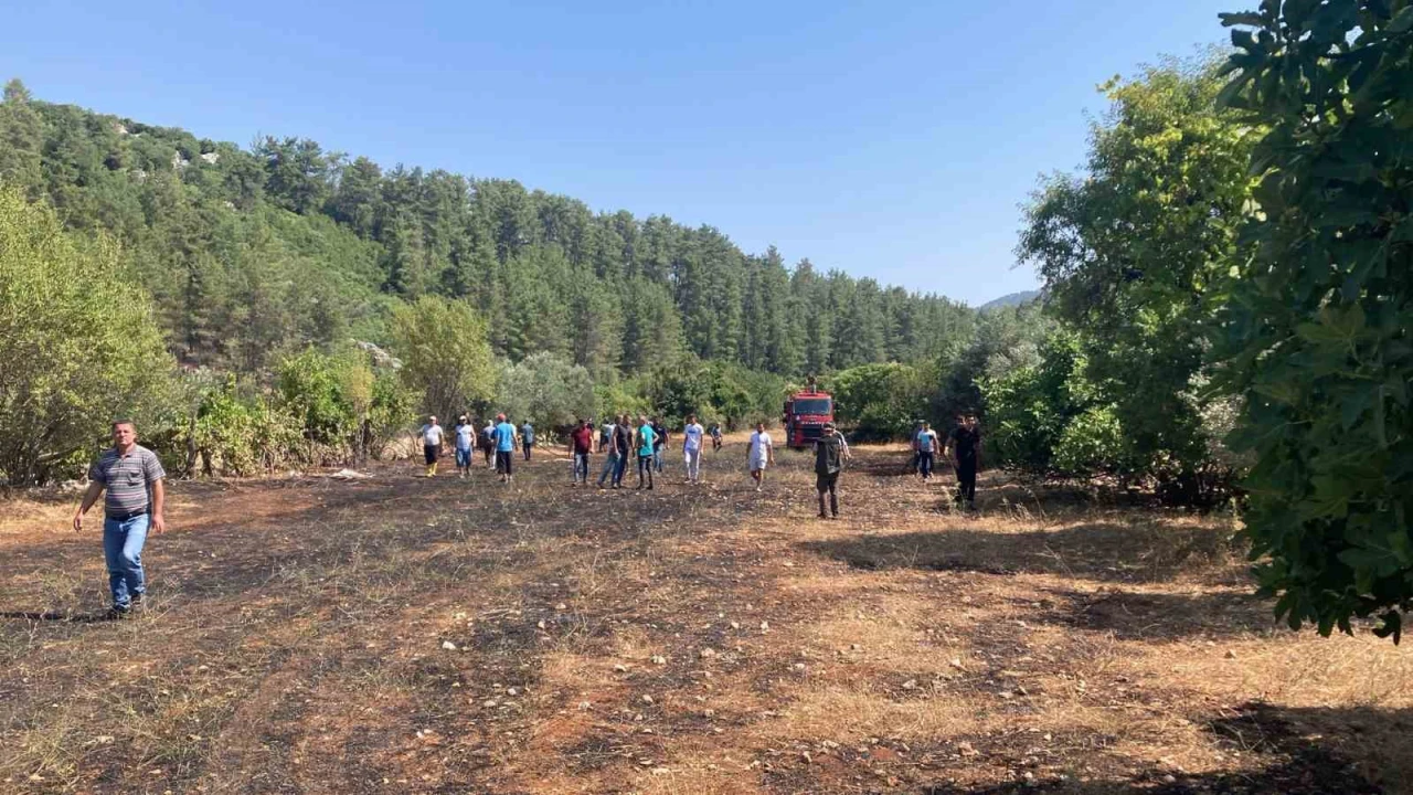 Bucakta çıkan arazi yangınında 1 dönüm alan yandı