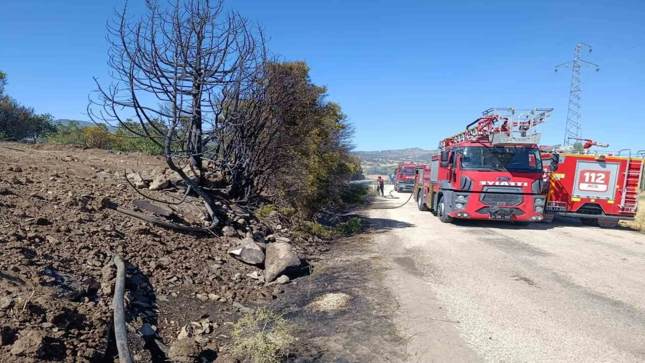 Burdurda ceviz bahçesi ve 5 dönüm tarım arazisi yandı