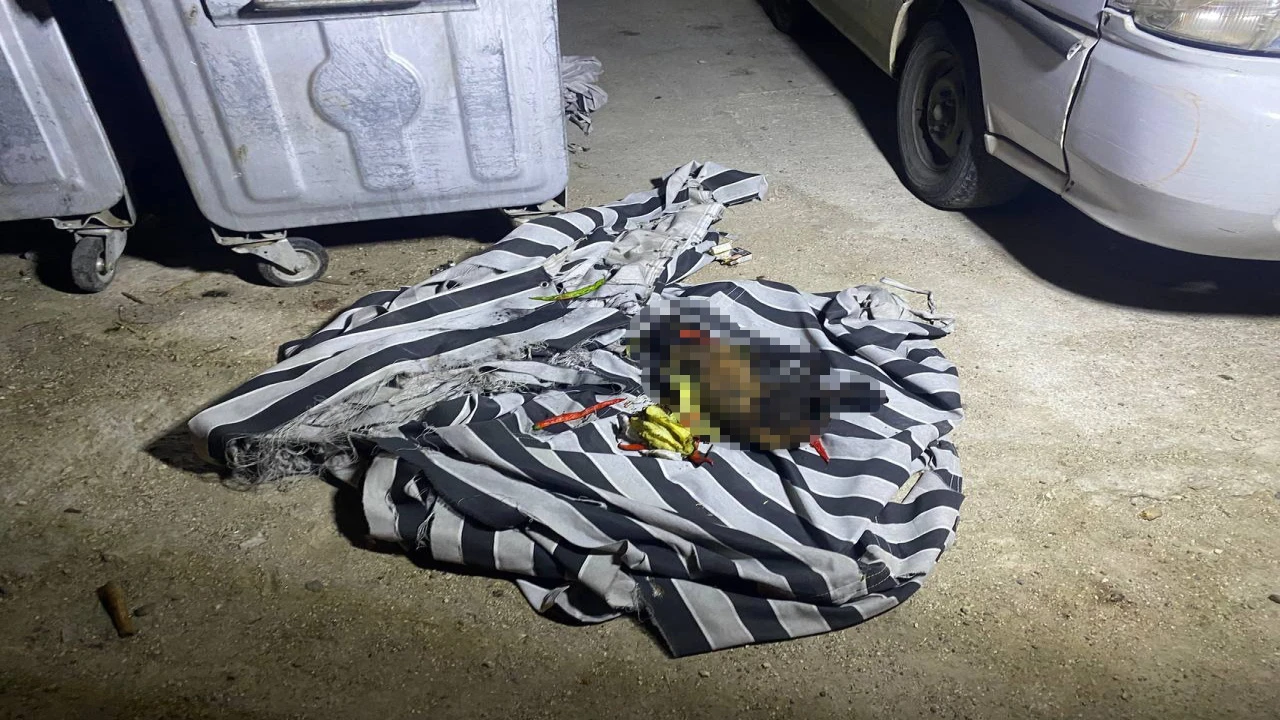 Çöp konteynerindeki yangın sonrası köpeğin telef olduğu ortaya çıktı