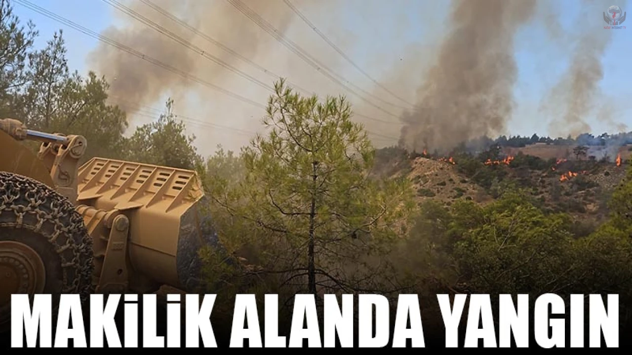 Defnede makilik alanda yangın çıktı