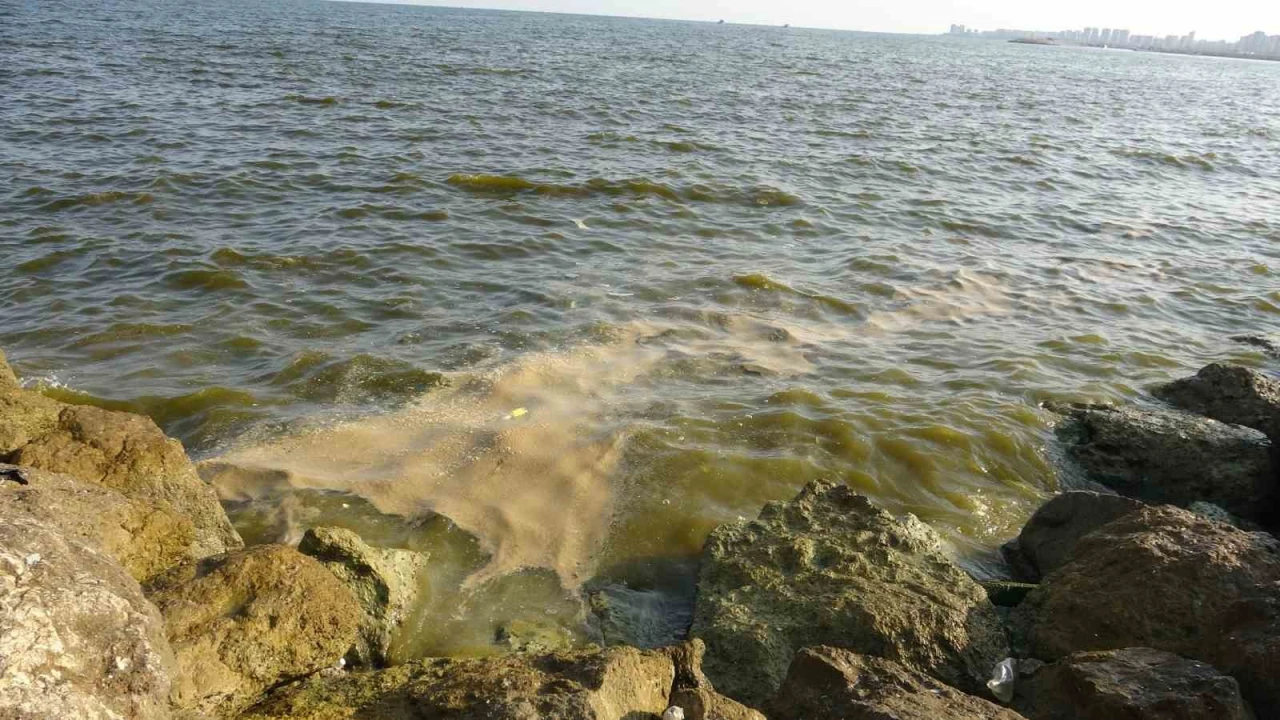 Doğu Akdenizde kirlilik gözle görülür hale geldi