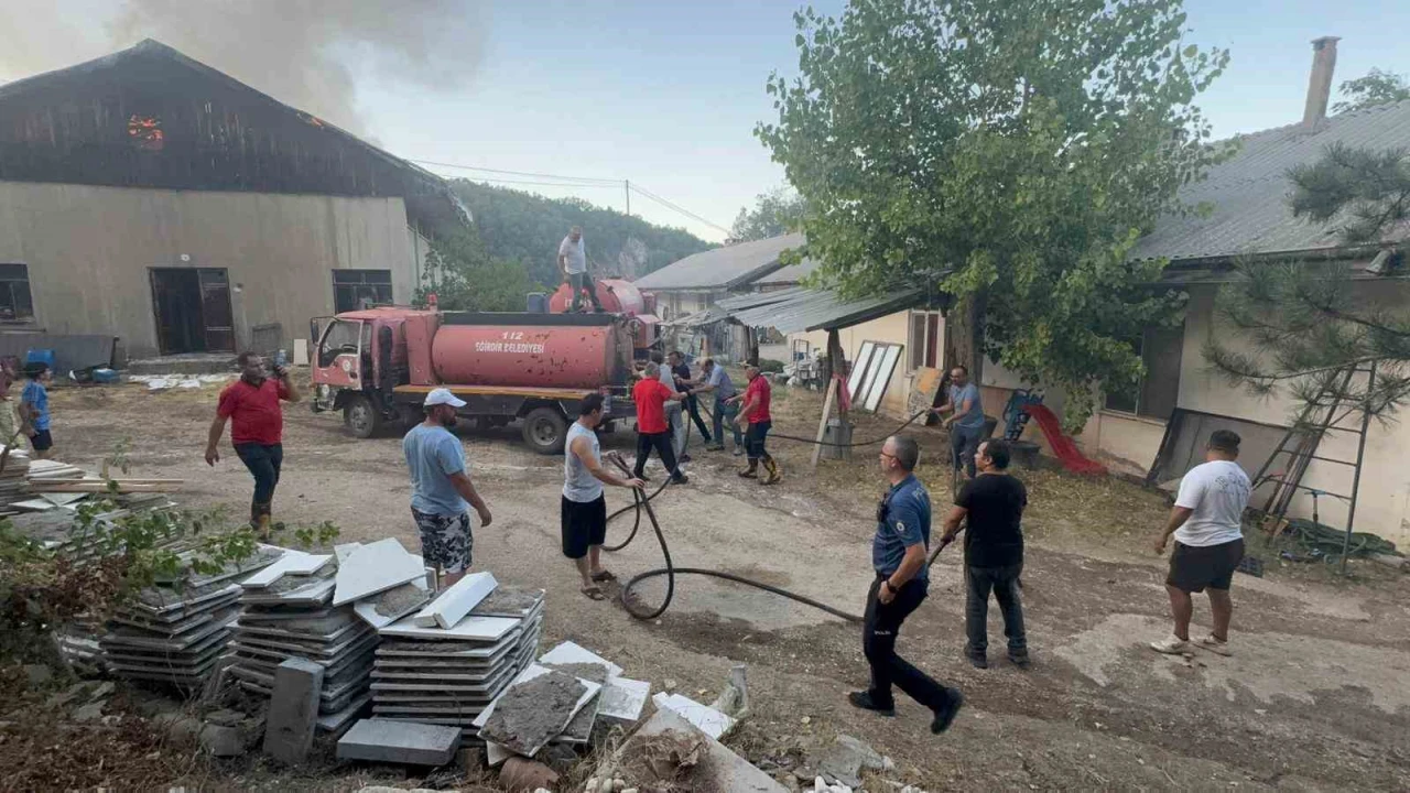 Eğirdirde trafodaki tellere temas eden sincap, 1 depo ile 2 dönümlük araziyi küle çevirdi