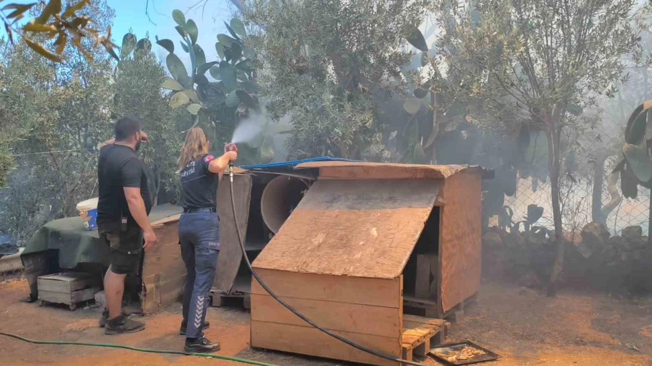 Farklı noktalarda çıkan otluk ve ağaçlık yangını evlere birkaç metre kala söndürüldü