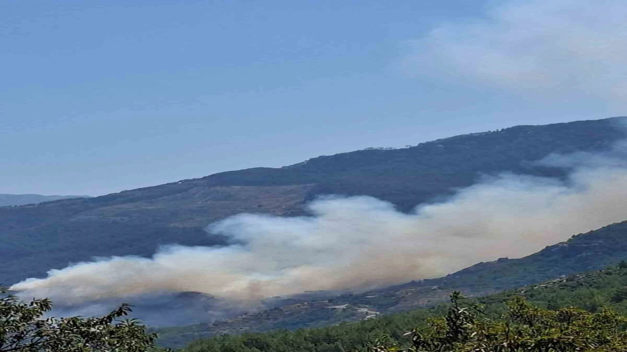 Gazipaşada ormanlık alanda yangın