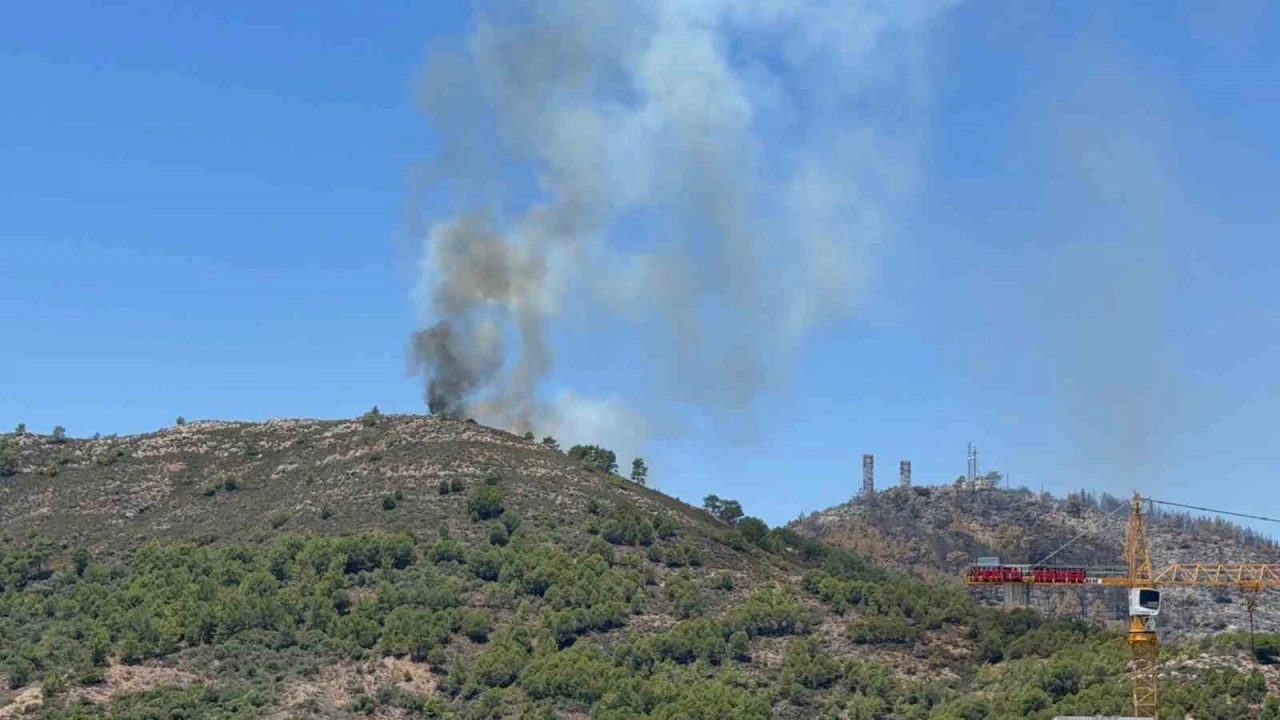 Gazipaşada ormanlık alandaki yangın kontrol altına alındı