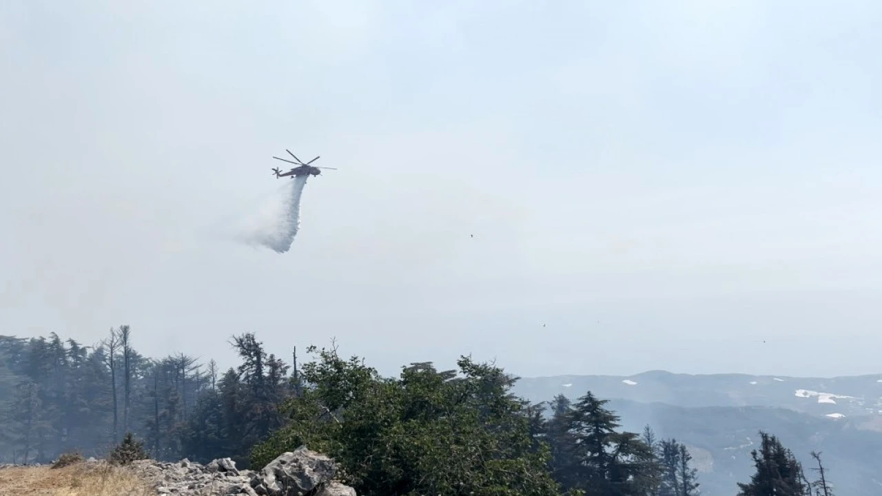 Gazipaşadaki orman yangını 3. gününde kontrol altına alındı