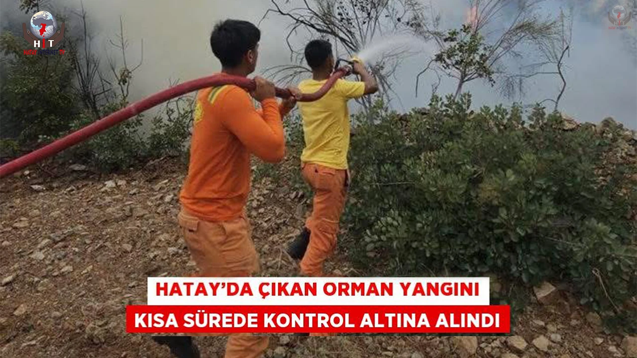 Hatayda çıkan orman yangını kısa sürede kontrol altına alındı