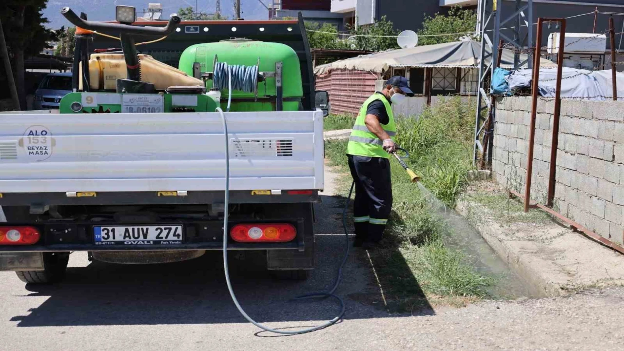 Hatayda sinek ve haşerelere karşı mücadele 7 gün, 24 saat devam ediyor
