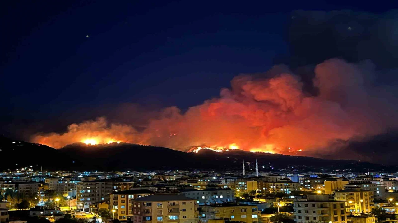 Hataydaki orman yangınında alevler gökyüzünü aydınlattı