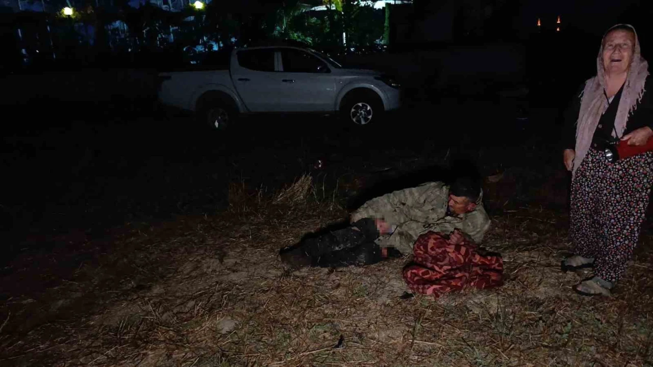 Hayvan parkından kaçan aslan fıstık bahçesinde uyuyan çiftçiye saldırdı