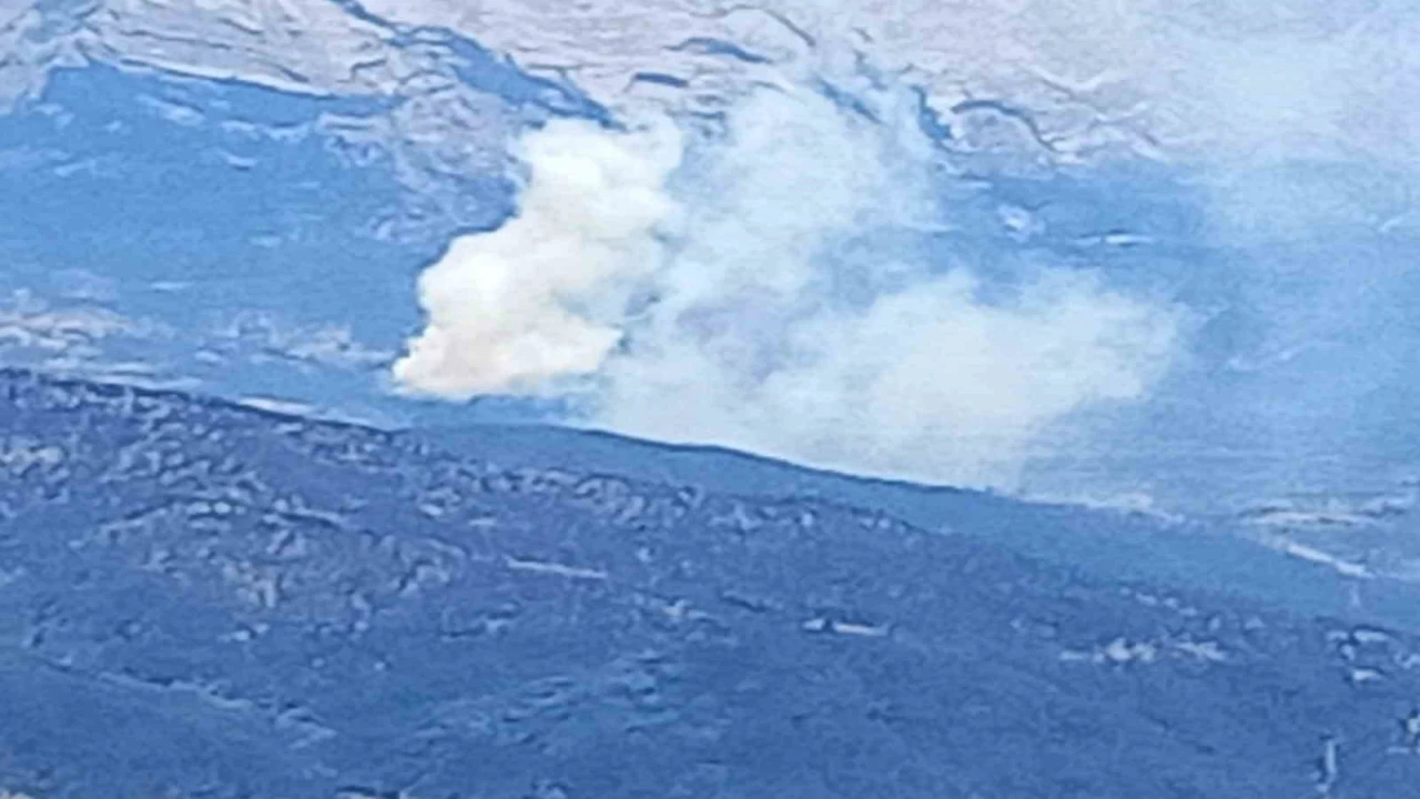 Ispartada ormanlık alanda yangın