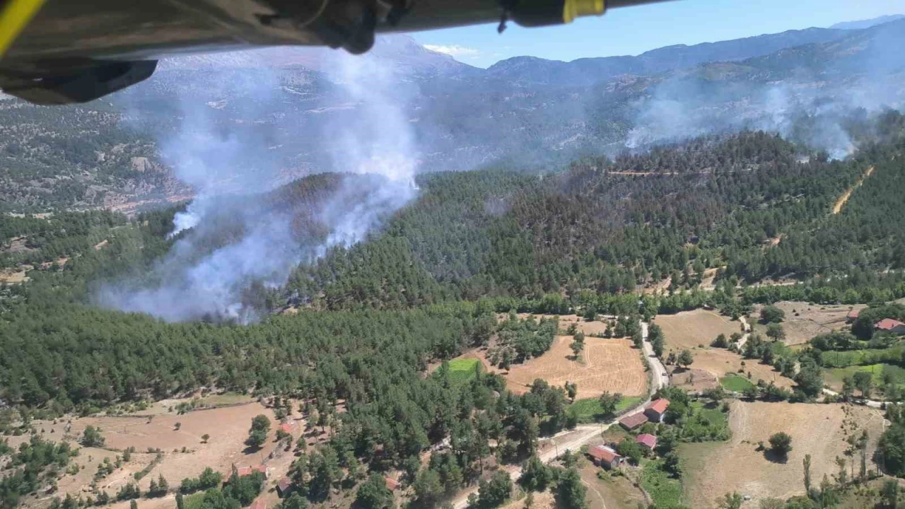 Ispartadaki orman yangınında 20 hektar alan zarar gördü