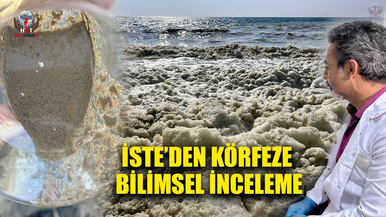 İSTE’DEN KÖRFEZE BİLİMSEL İNCELEME