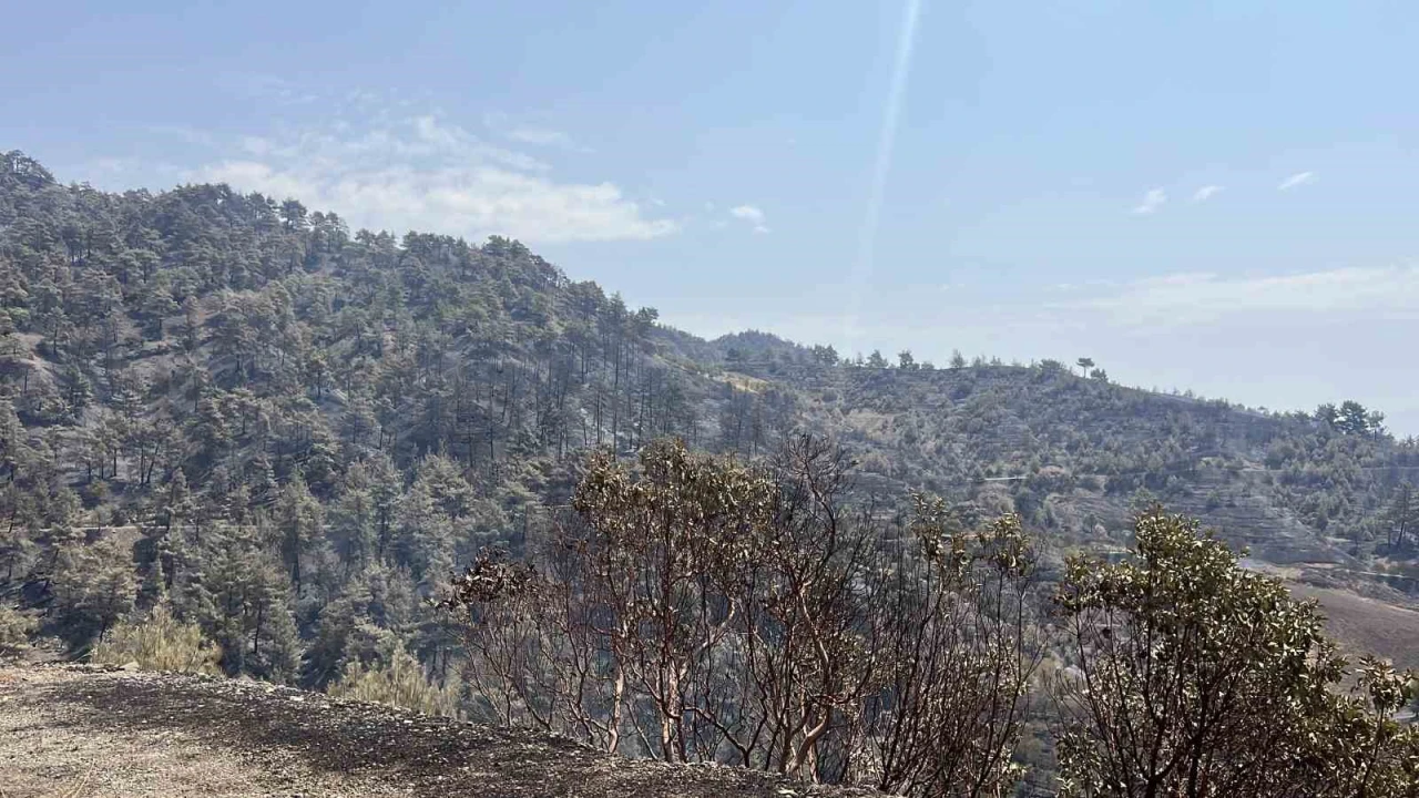 Kahramanmaraşta bin 500 hektar alanı etkileyen orman yangını kontrol altına alındı