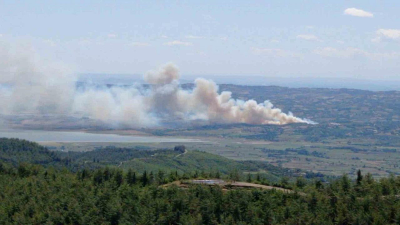 Kahramanmaraşta orman yangını