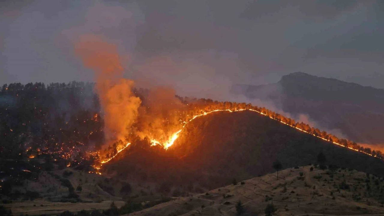 Kahramanmaraşta orman yangınına müdahale sürüyor