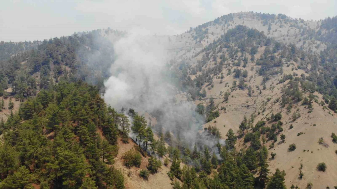 Kahramanmaraşta orman yangınına müdahale sürüyor