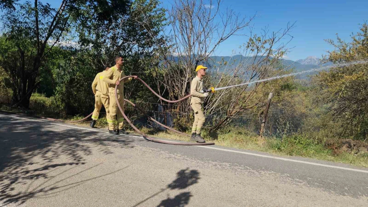 Kahramanmaraştaki orman yangını söndürüldü