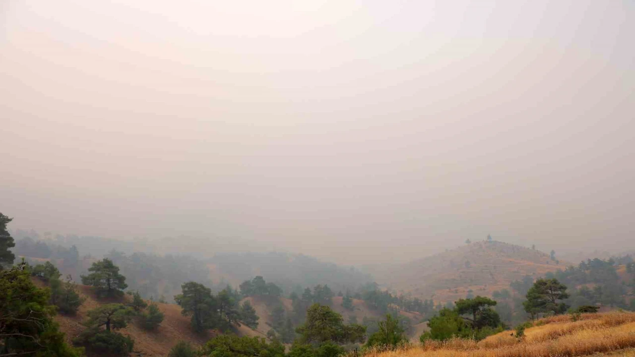 Kahramanmaraştaki orman yangınında 4 ev yandı, 20 ev tahliye edildi