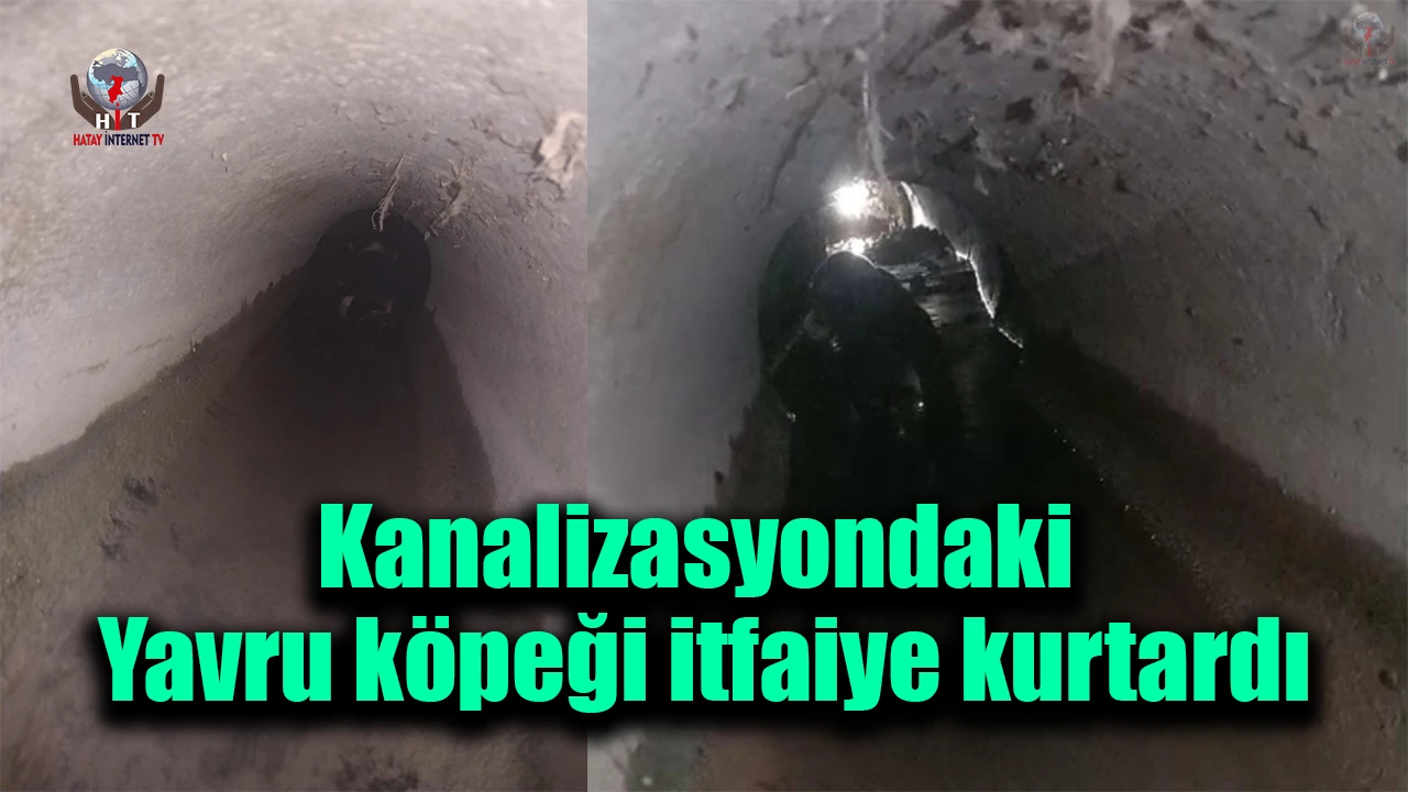 Kanalizasyon borusuna sıkışan yavru köpeği itfaiye kurtardı