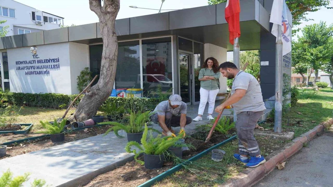 Konyaaltında muhtarlık binaları çiçeklendiriliyor