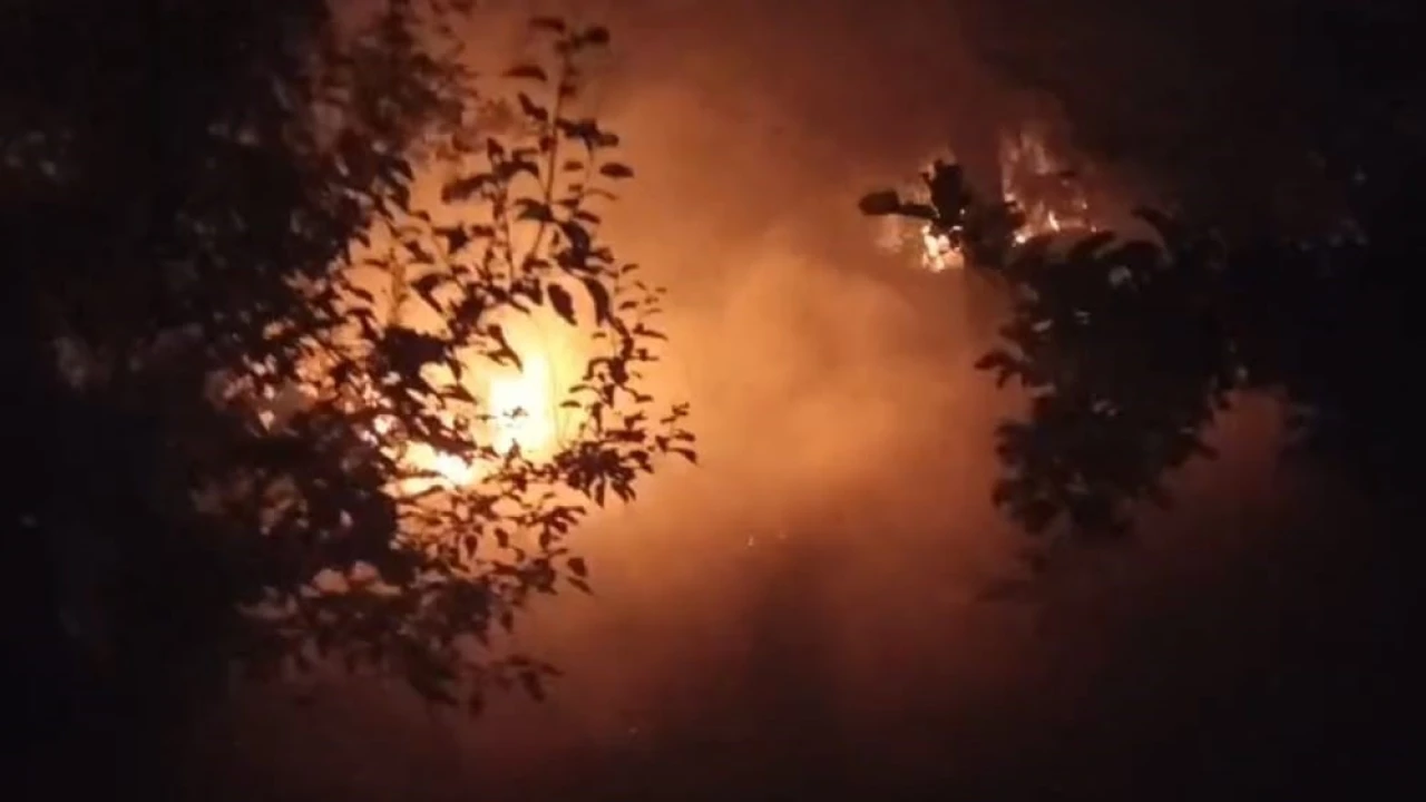 Kozanda bahçe yangını ormana sıçramadan söndürüldü