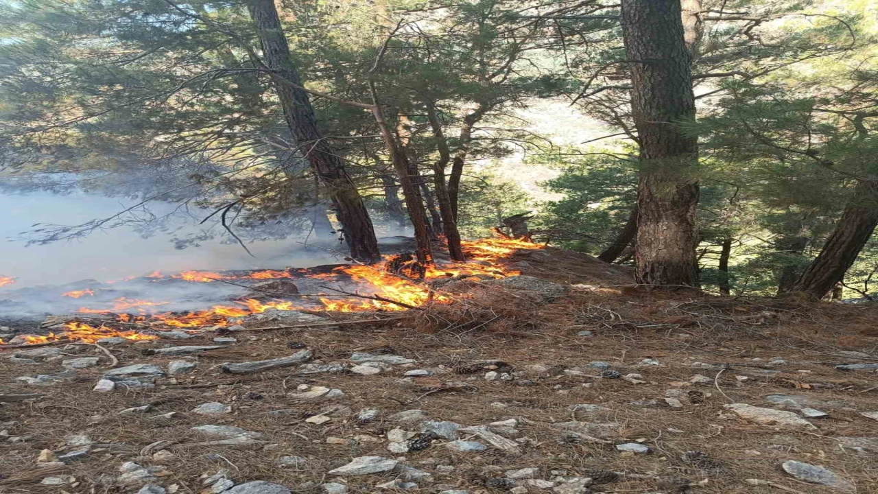Kozanda ormanlık alanda yangın çıktı