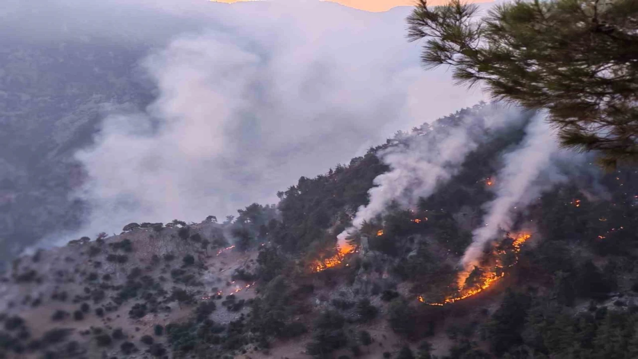 Kozandaki orman yangını kısmen kontrol altında