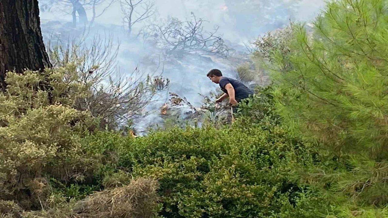 Kumlucada çıkan orman yangınında 1 dekar alan yandı