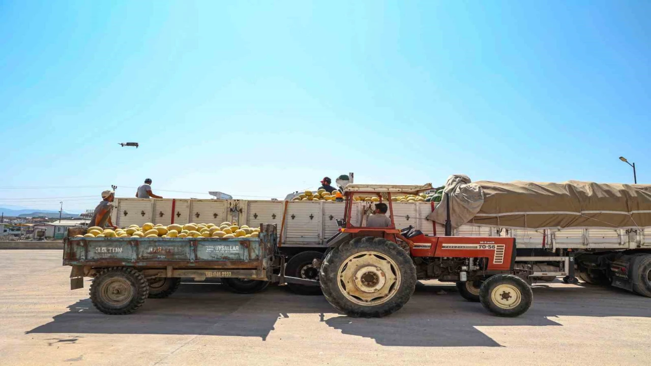 Manavgatın yeni toptancı hali hizmete hazır