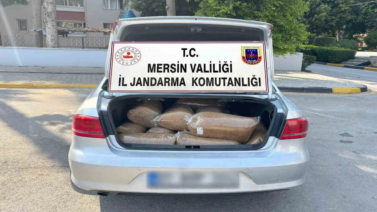 Mersinde 100 kilo kaçak tütün ele geçirildi