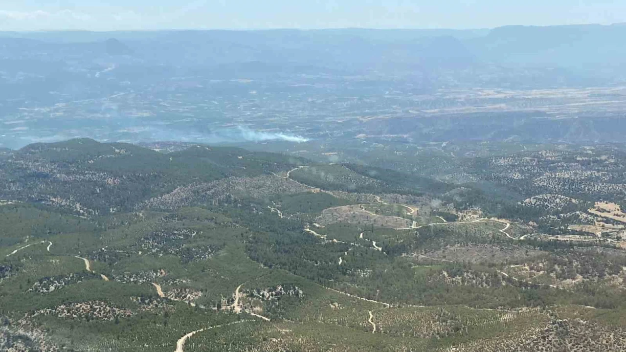 Mersinde 2 ilçede orman yangını