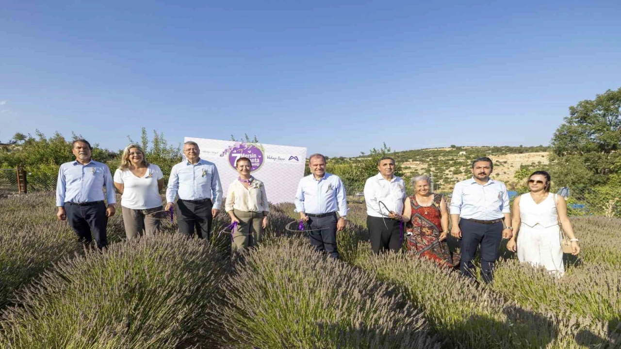 Mersinde 7. Lavanta Hasat Şenliği düzenlendi