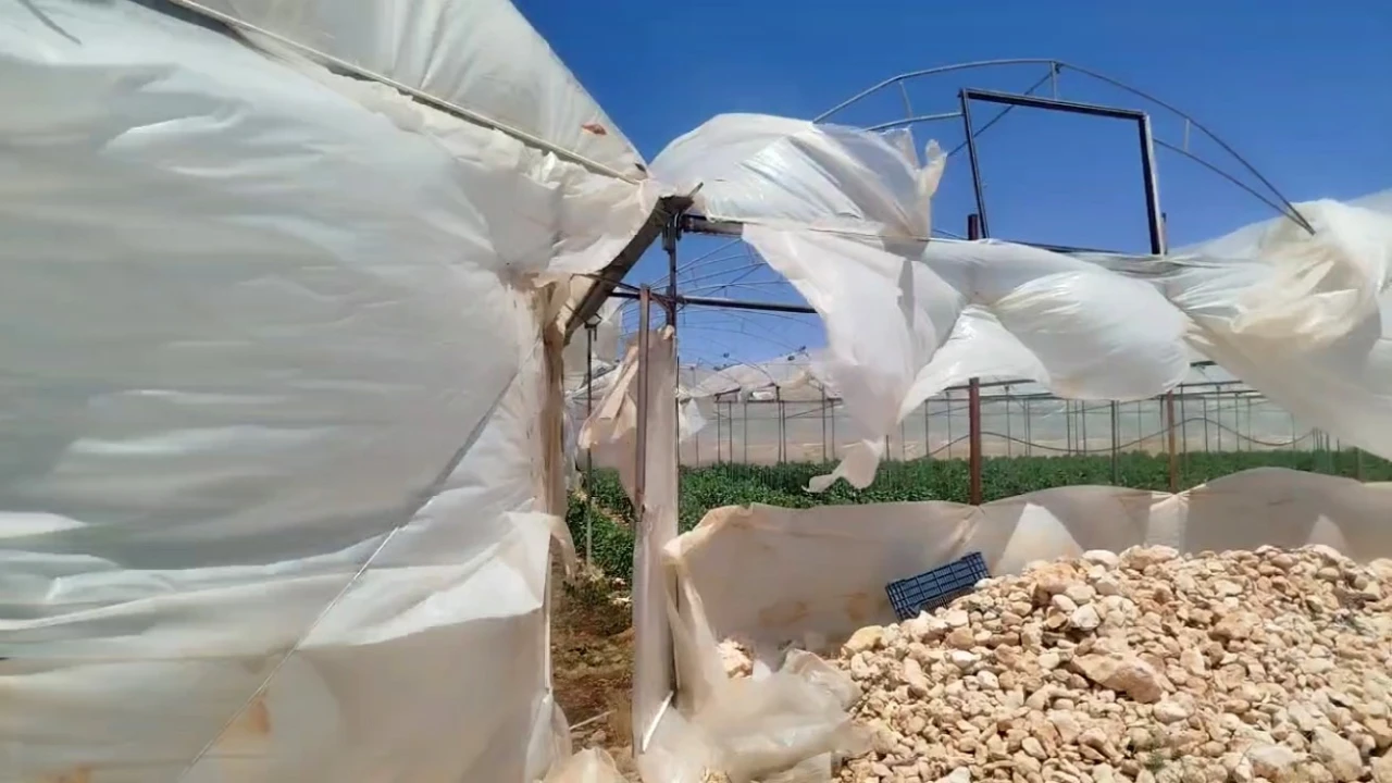 Mersinde rüzgar seralarda hasara yol açtı