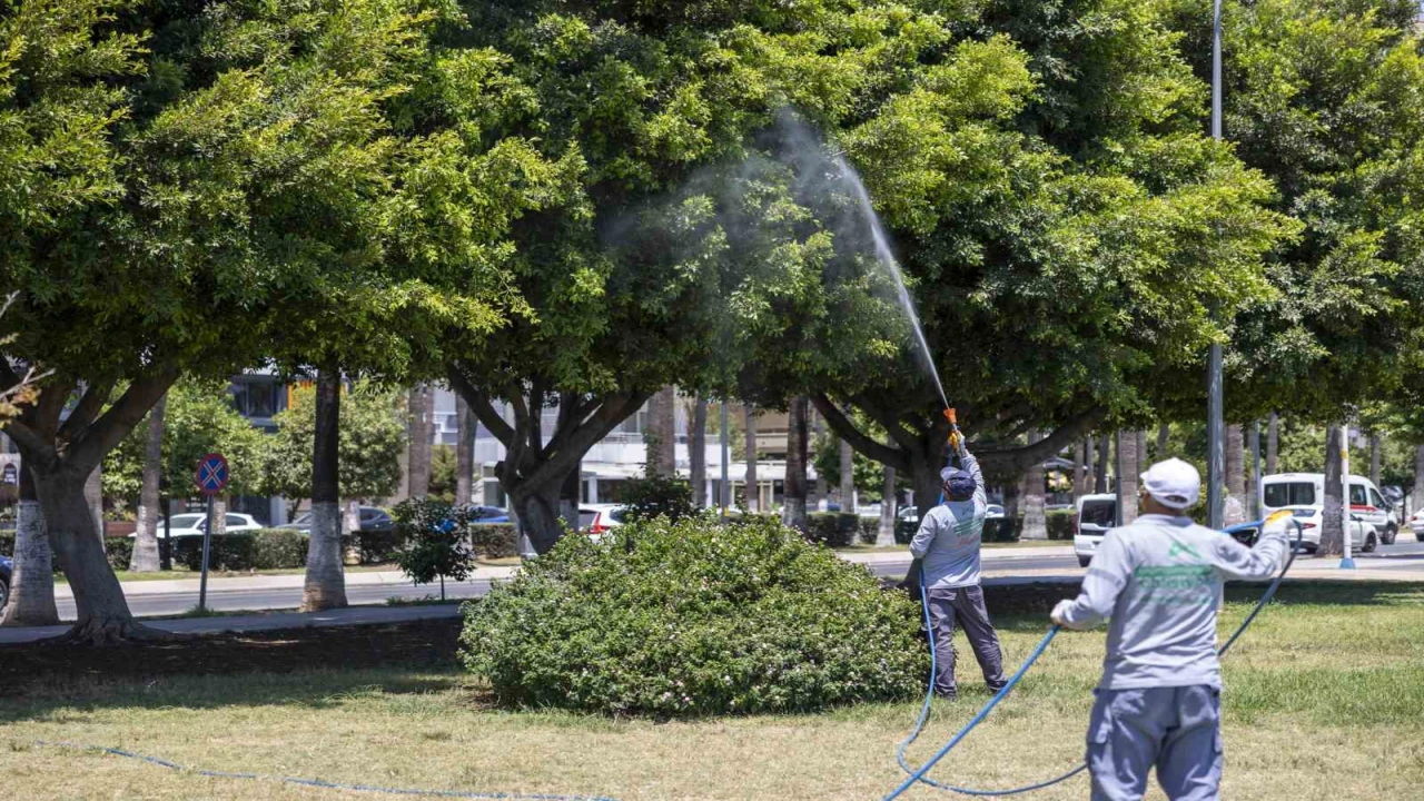 Mersinde yaz boyunca kesintisiz ilaçlama