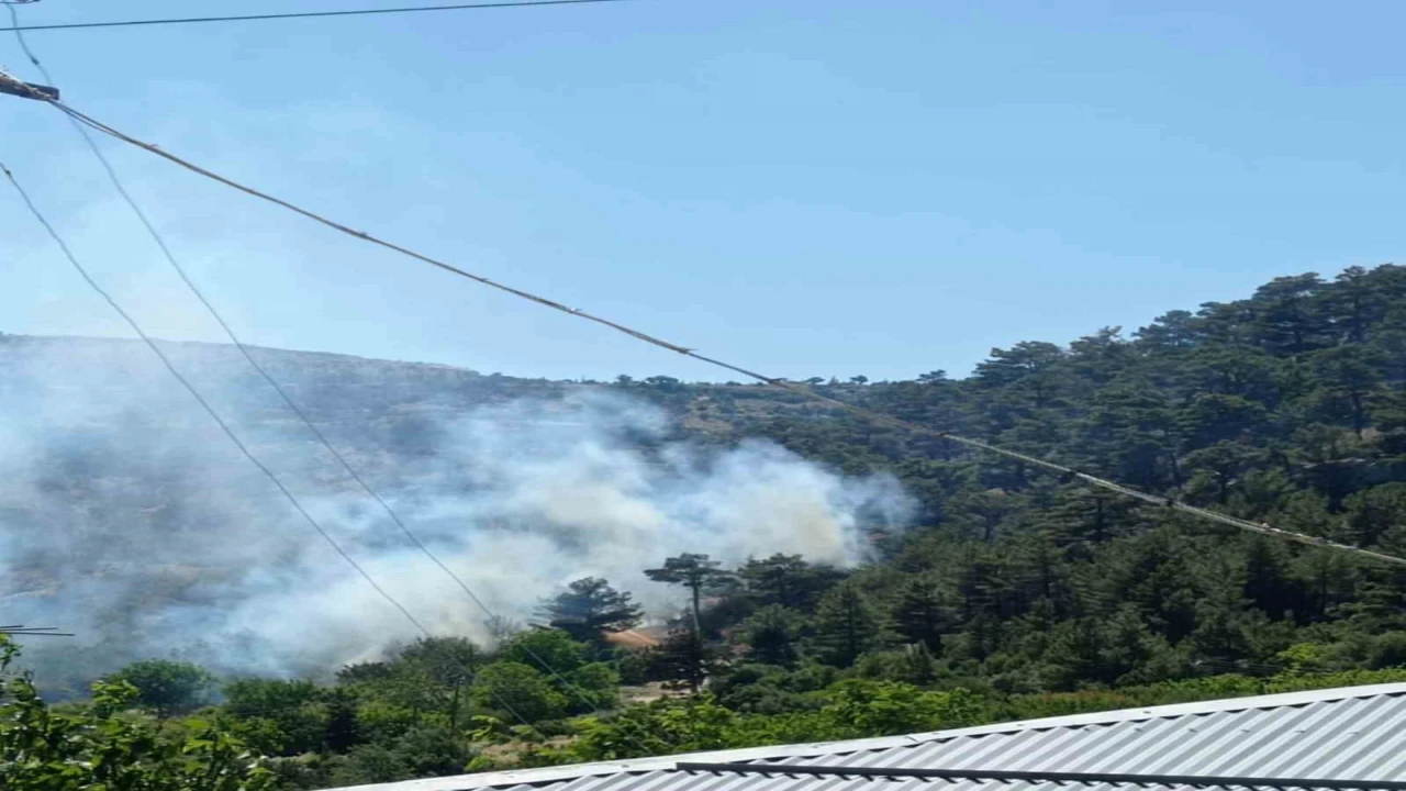 Mersindeki orman yangını kontrol altına alındı