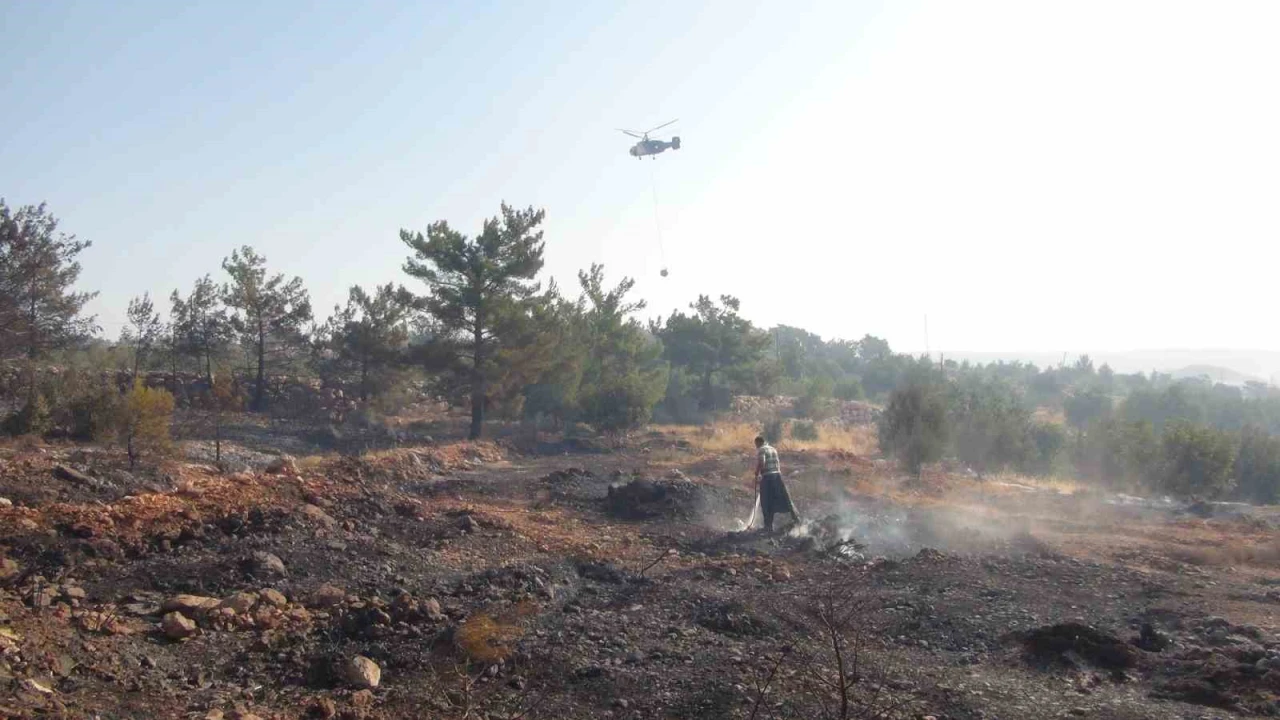 Mersindeki orman yangınına 3 helikopter ve arazözlerle müdahale ediliyor