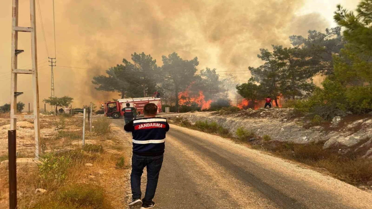 Mersindeki orman yangınında jandarma ekipleri aktif rol aldı