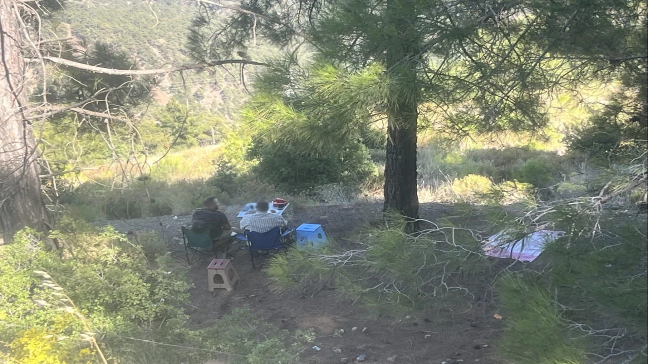 Ormanda piknik yapan 4 şahsa yasal işlem yapıldı