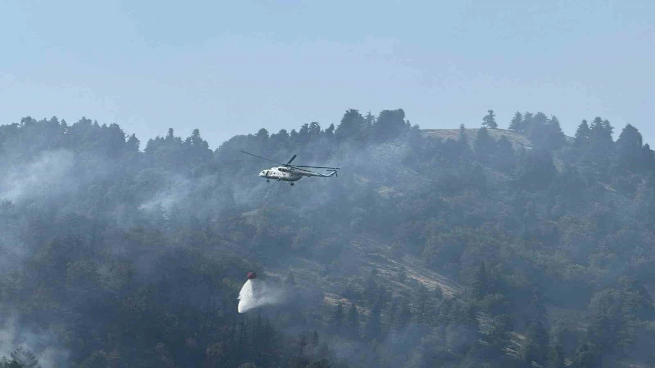 Osmaniyedeki orman yangını kontrol altına alındı