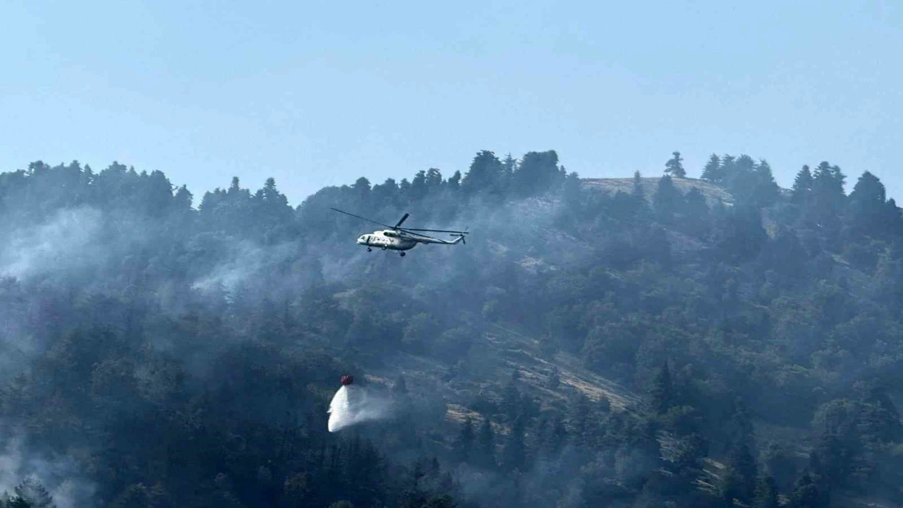 Osmaniyenin çıkan orman yangını devam ediyor
