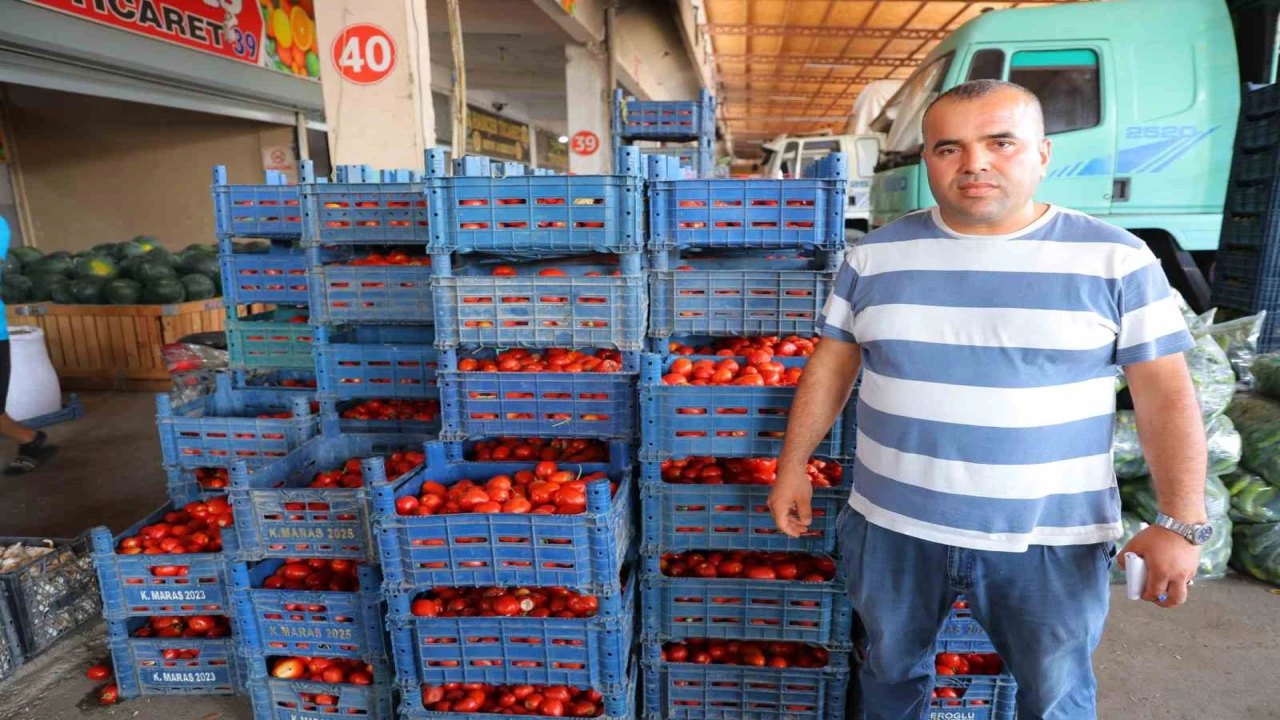 Salça dönemi başlamayınca domatesin fiyatı 3 TLye kadar düştü