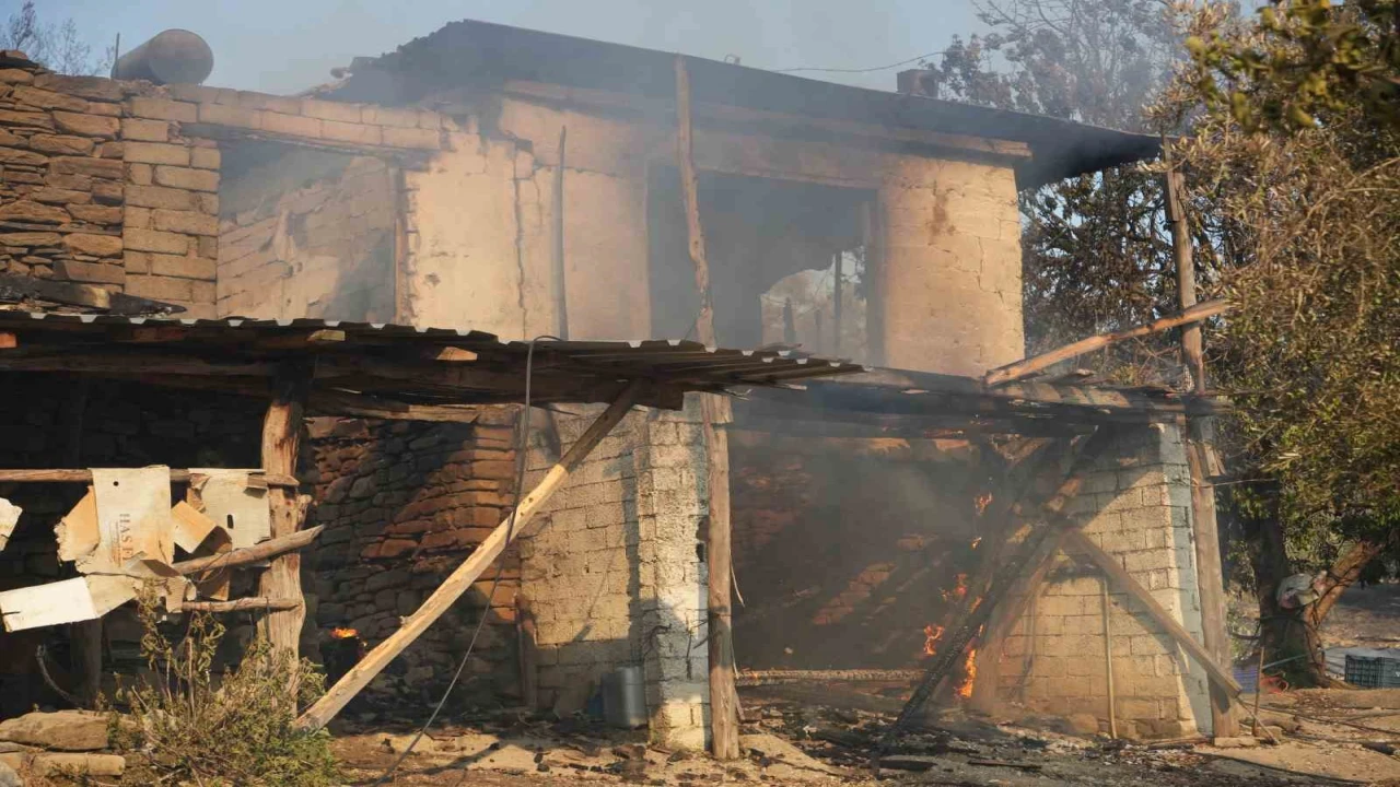 Serikteki orman yangınında evler ve ahırlar yandı