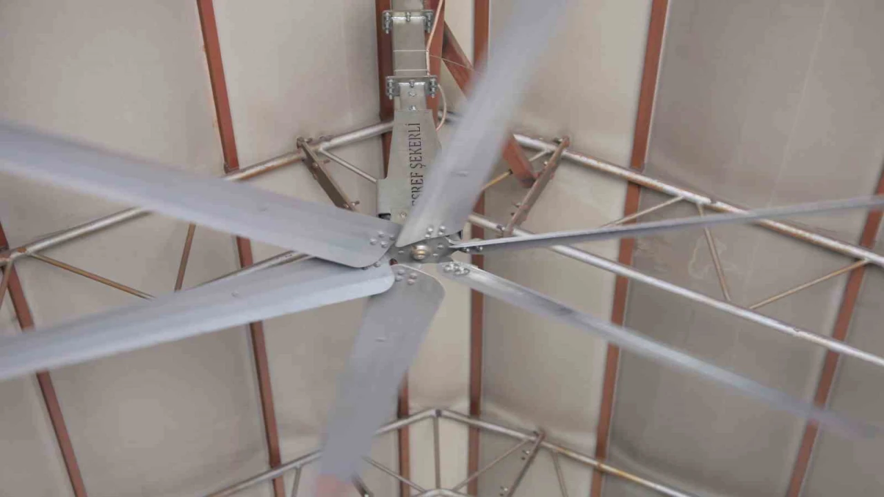 Sıcak havalarda havyanlar dev vantilatör ile serinliyor