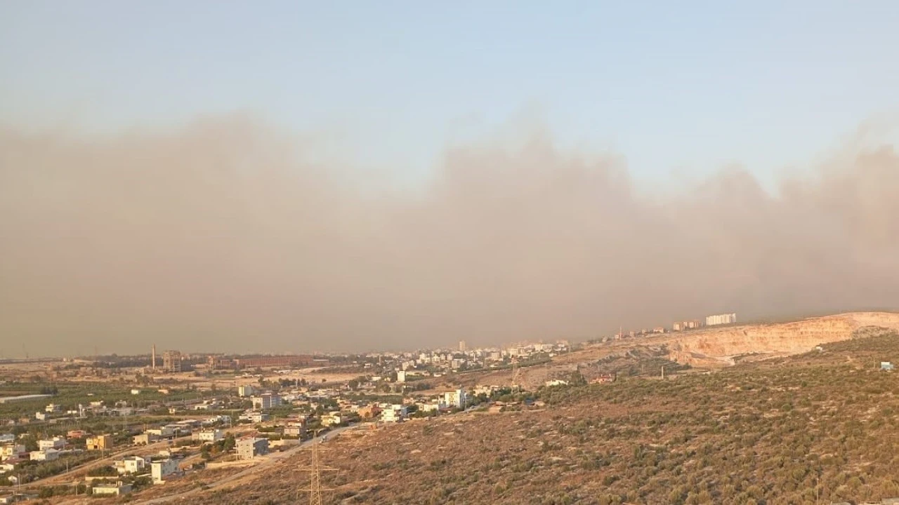 Silifkede orman yangını